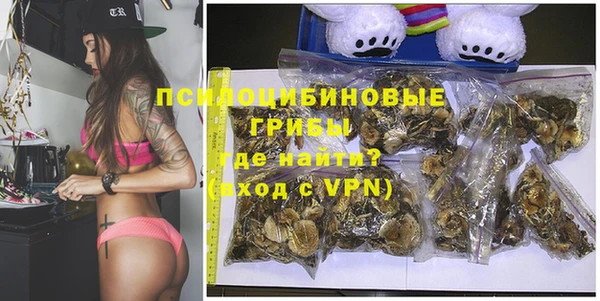 гидра Балахна