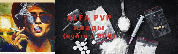 гашик Россошь