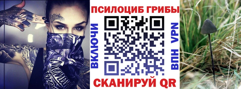 Псилоцибиновые грибы мицелий  цена наркотик  Губаха 
